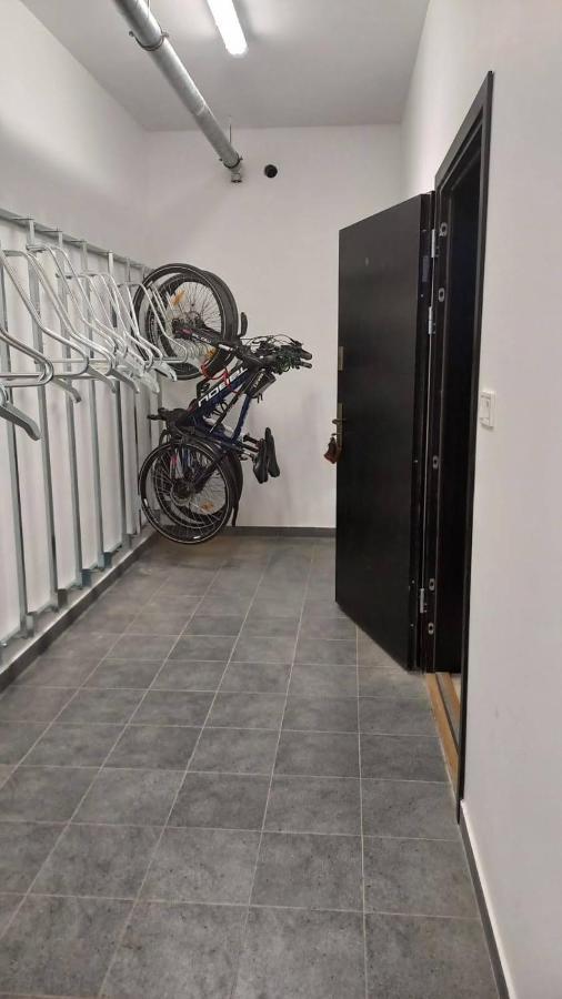 Debowiec Apartment *